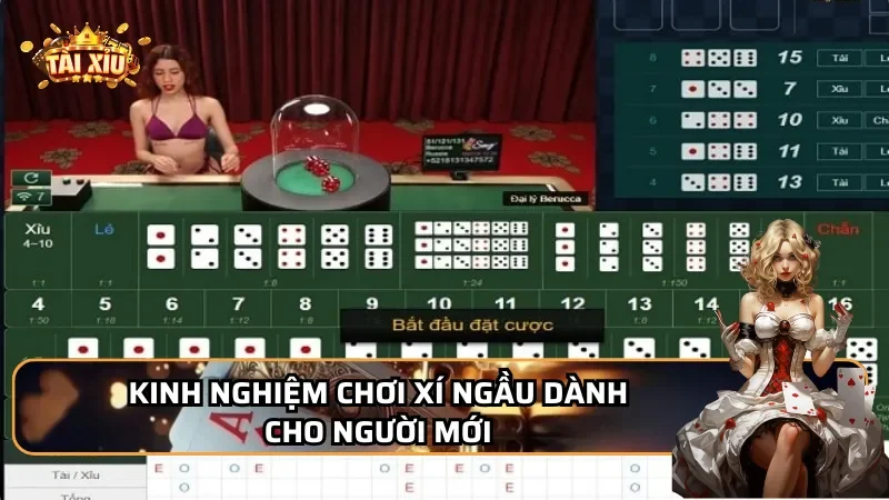 Kinh nghiệm chơi Xí ngầu dành cho người mới