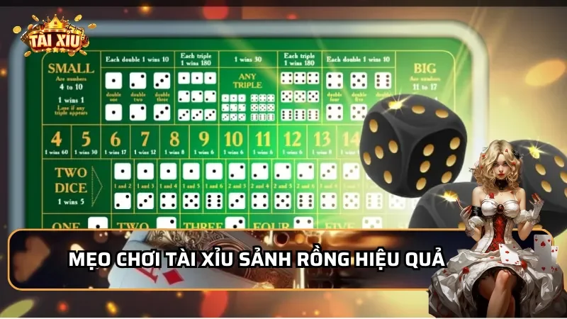Mẹo chơi Tài Xỉu Sảnh Rồng hiệu quả từ cao thủ