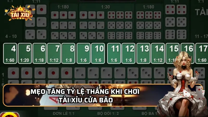 Mẹo tăng tỷ lệ thắng khi chơi Tài Xỉu Cửa Bão