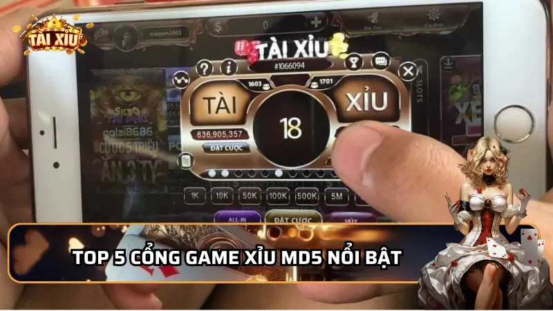 Top 5 cổng game Tài xỉu MD5 nổi bật hiện nay