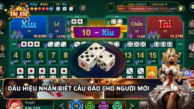 Dấu hiệu nhận biết cầu đảo cho người mới