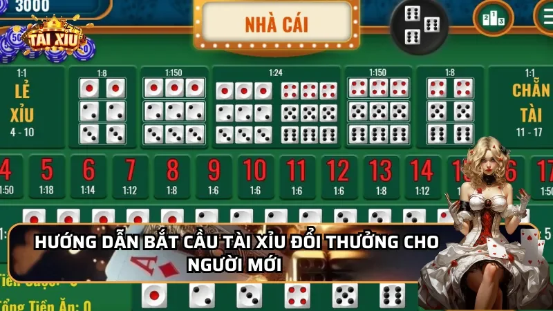 Hướng dẫn bắt cầu Tài Xỉu đổi thưởng cho người mới