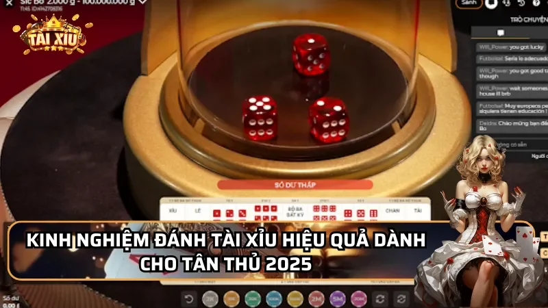 Kinh nghiệm đánh tài xỉu hiệu quả dành cho tân thủ 2025