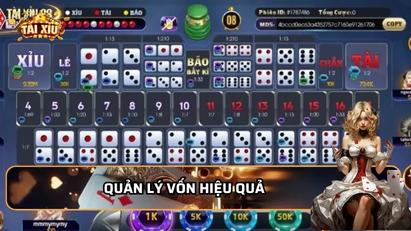 Quản lý vốn hiệu quả