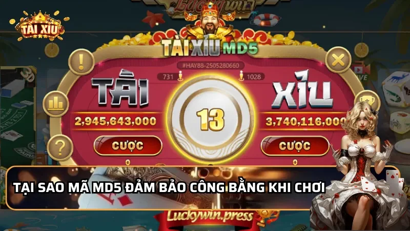 Tài Xỉu Md5 Là Gì Có An Toàn Không - Tại sao mã MD5 đảm bảo công bằng khi chơi