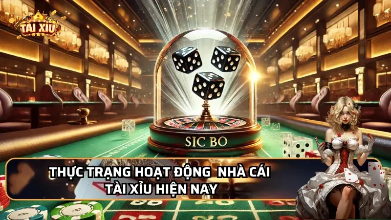 Thực trạng hoạt động của các nhà cái tài xỉu hiện nay