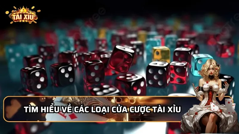 Tìm hiểu về các loại cửa cược tài xỉu phổ biến