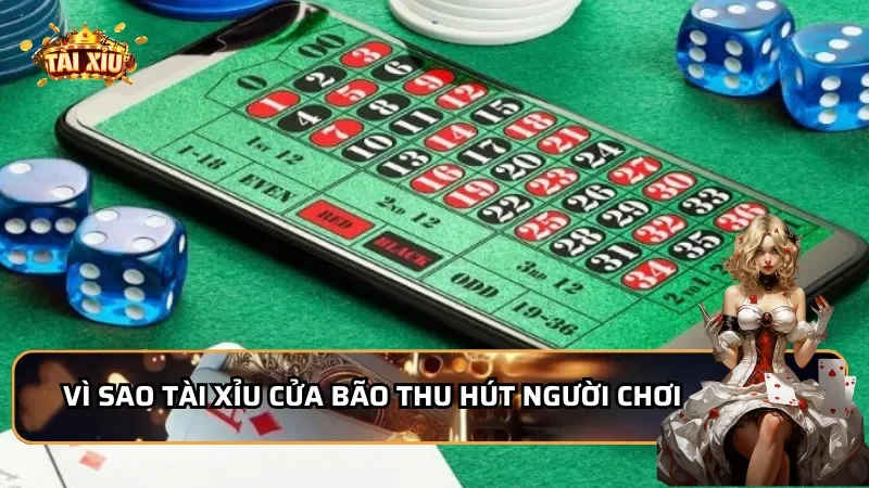 Vì sao Tài Xỉu Cửa Bão thu hút người chơi